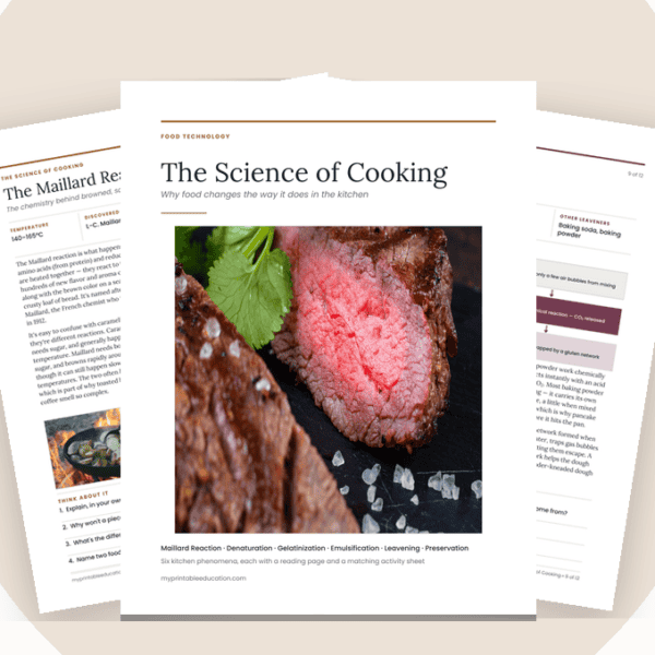 Free Science of Cooking Worksheets: A Food Technology Pack for Middle School