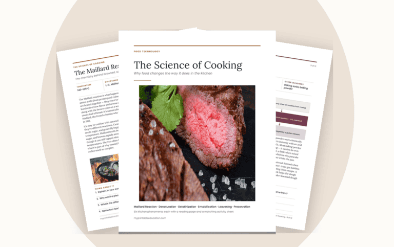 Free Science of Cooking Worksheets: A Food Technology Pack for Middle School