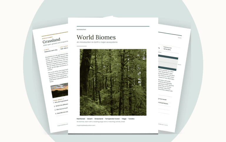 Free World Biomes Worksheets: A Geography Pack for Middle School, with Built-In Activity Sheets